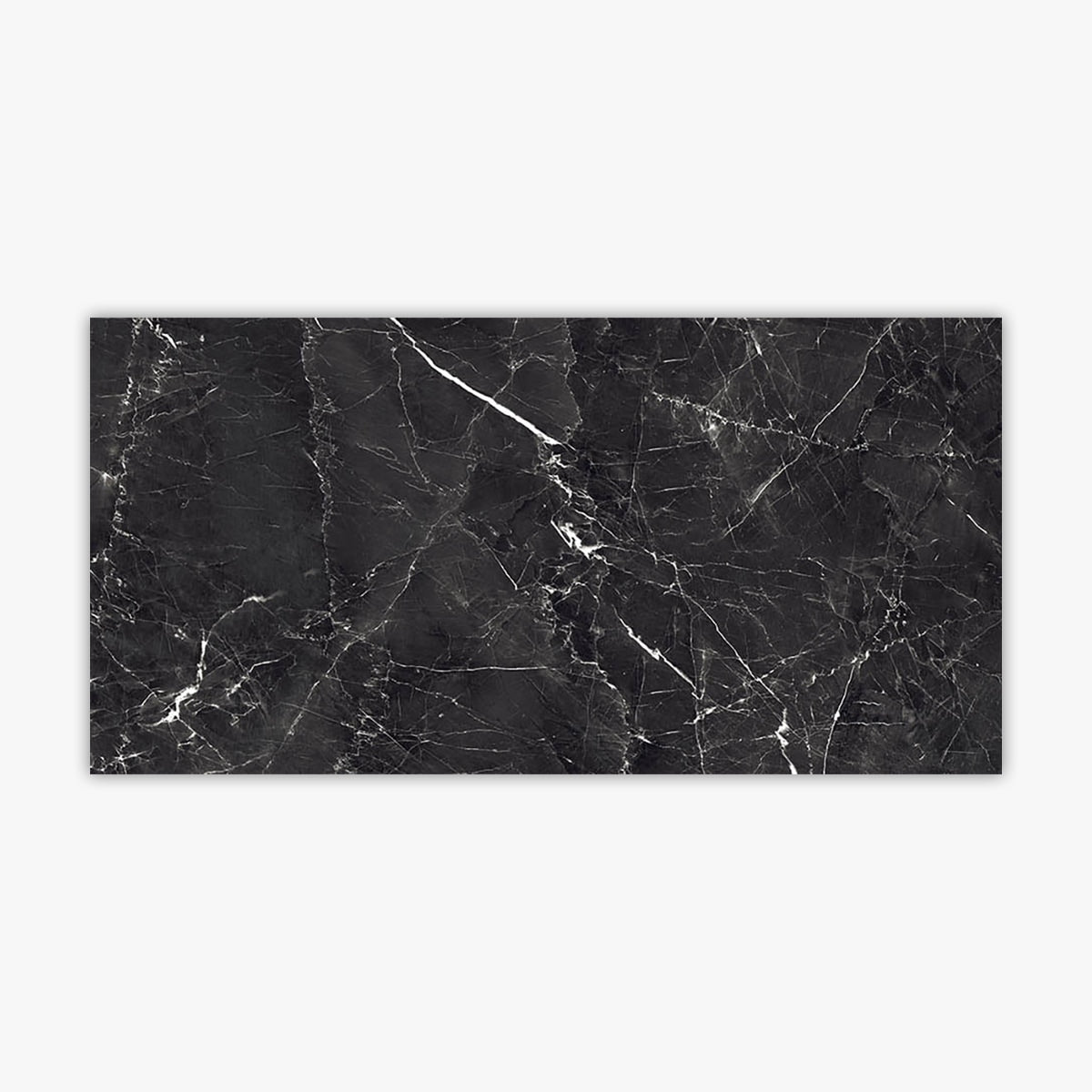 Charcoal Black 24x48 Polished