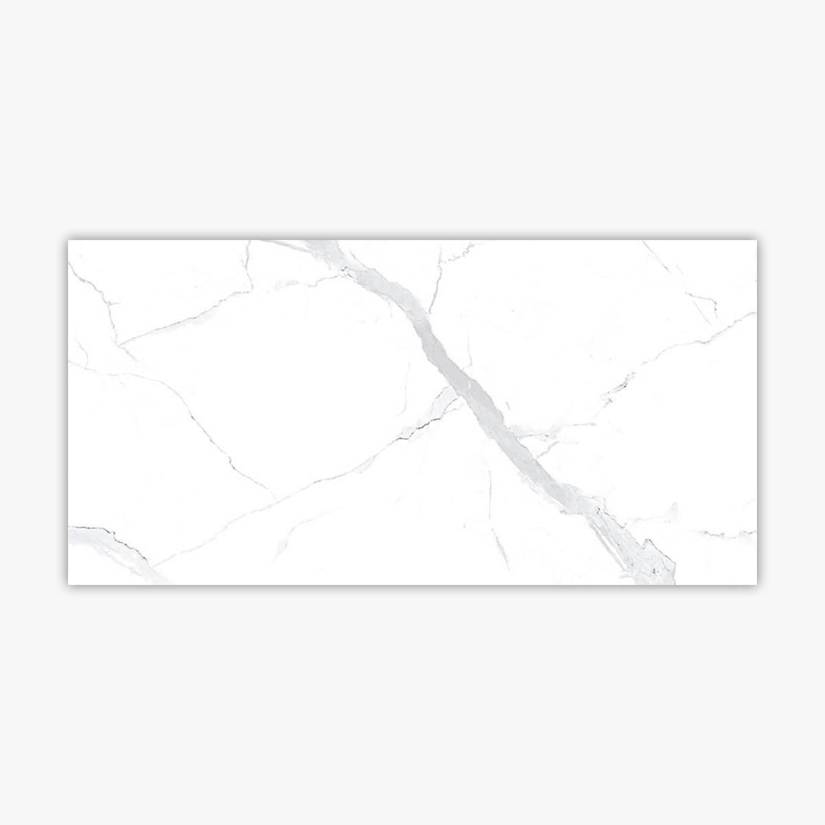 Statuario Polished 24x48