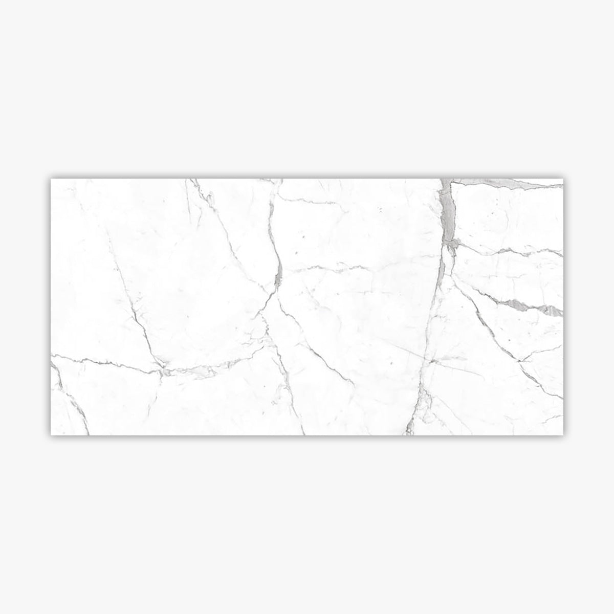 Calacatta Pearl 24x48 Special Effect