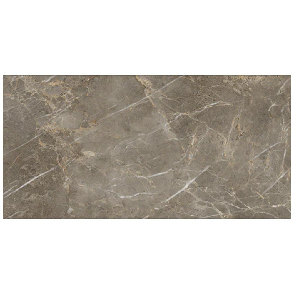 Enchant 12x24 Matte