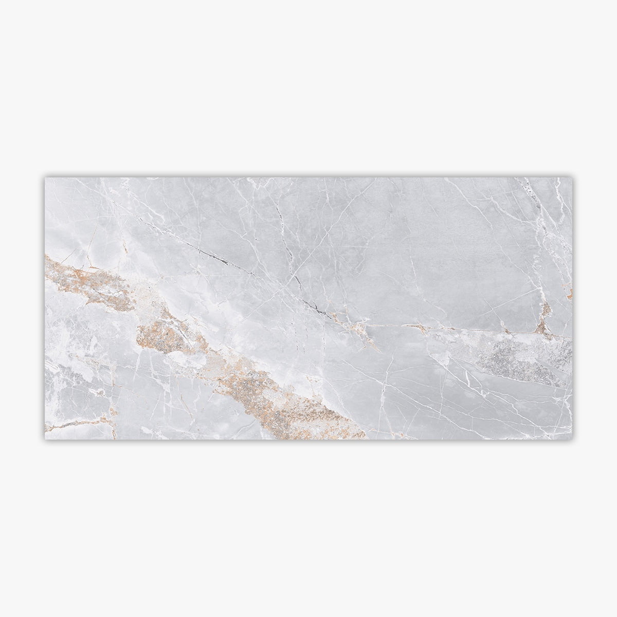 Metallo Light Gray Polished 24x48