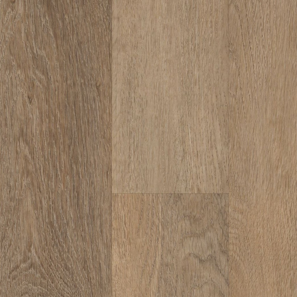 Brockport Oak 5x48