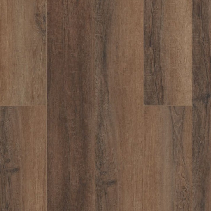 Cheshire Elm 9x72