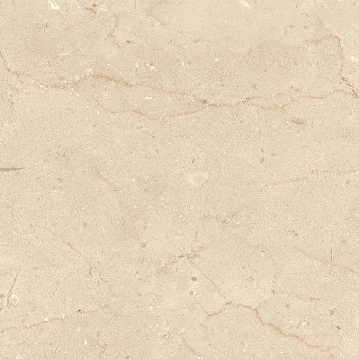 Ecstasy Paradise 24x24 Glossy Porcelain Tile