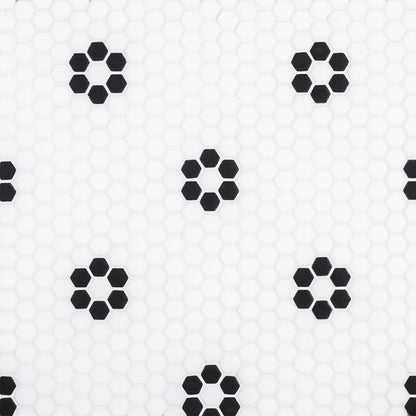 Black Daily 13x13