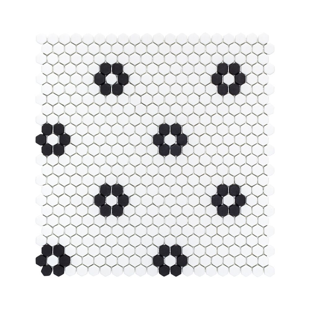 Black Daily 13x13