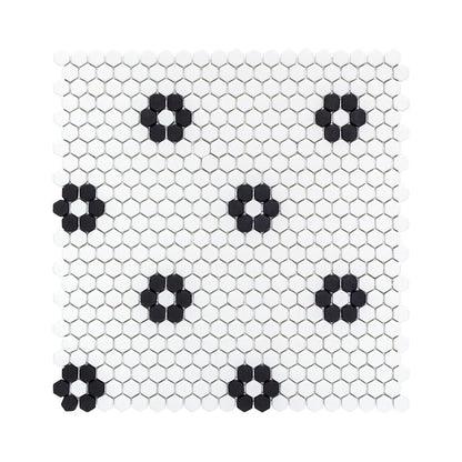 Black Daily 13x13