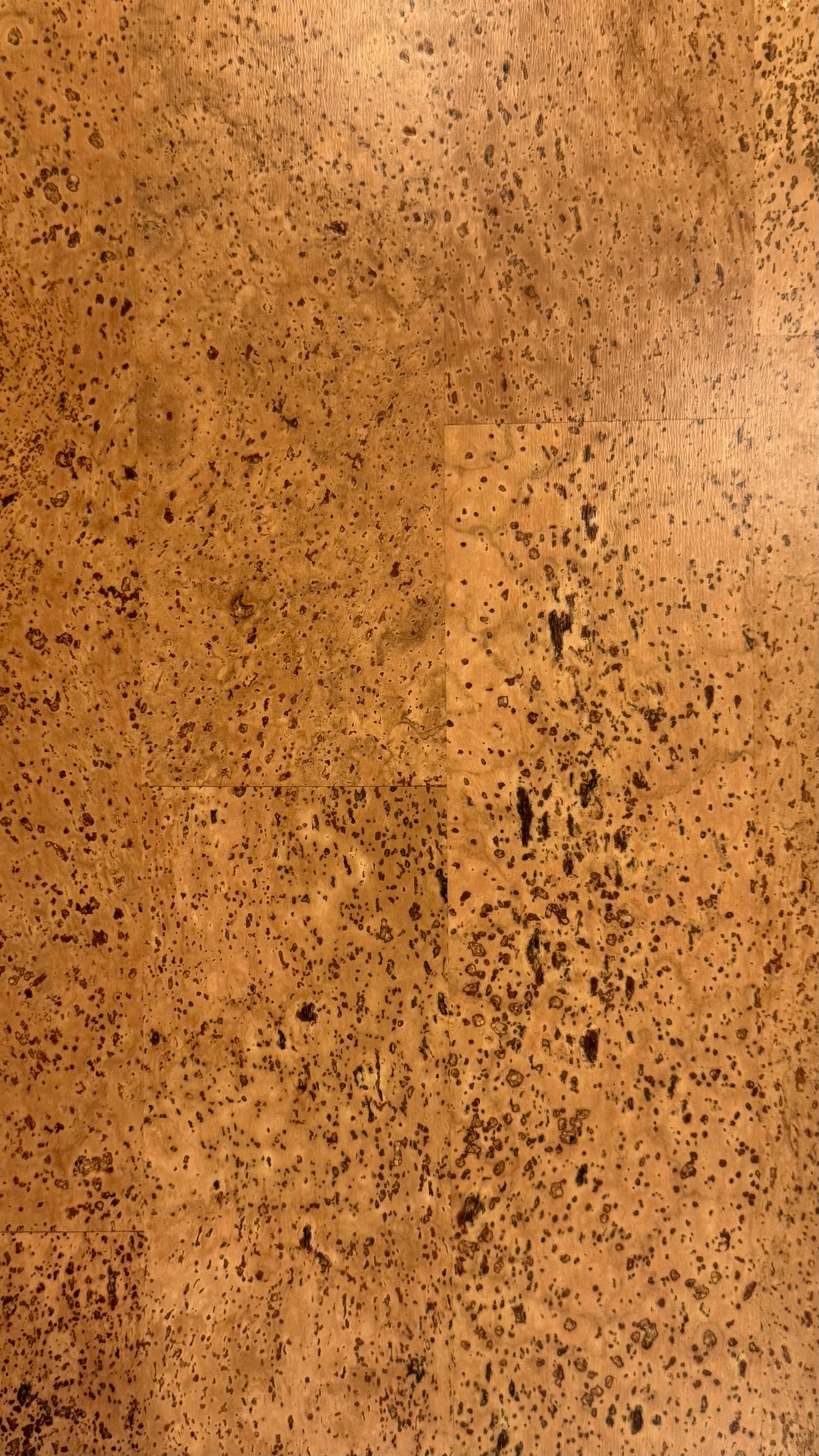 Aphrodite Cork 12x36
