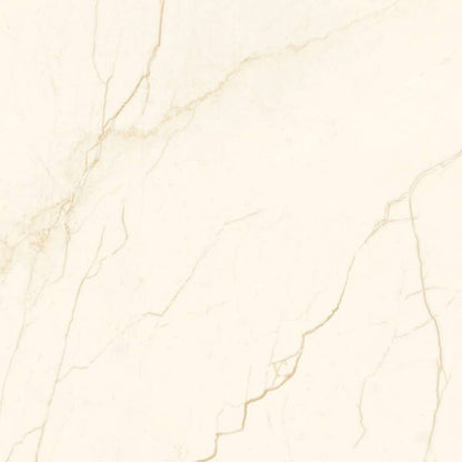 Ivory 12x24 Polished