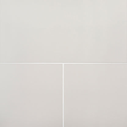Mountain Mist 12x24 Matte