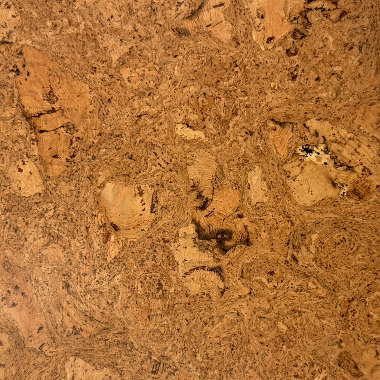 Odysseus Cork 12x36