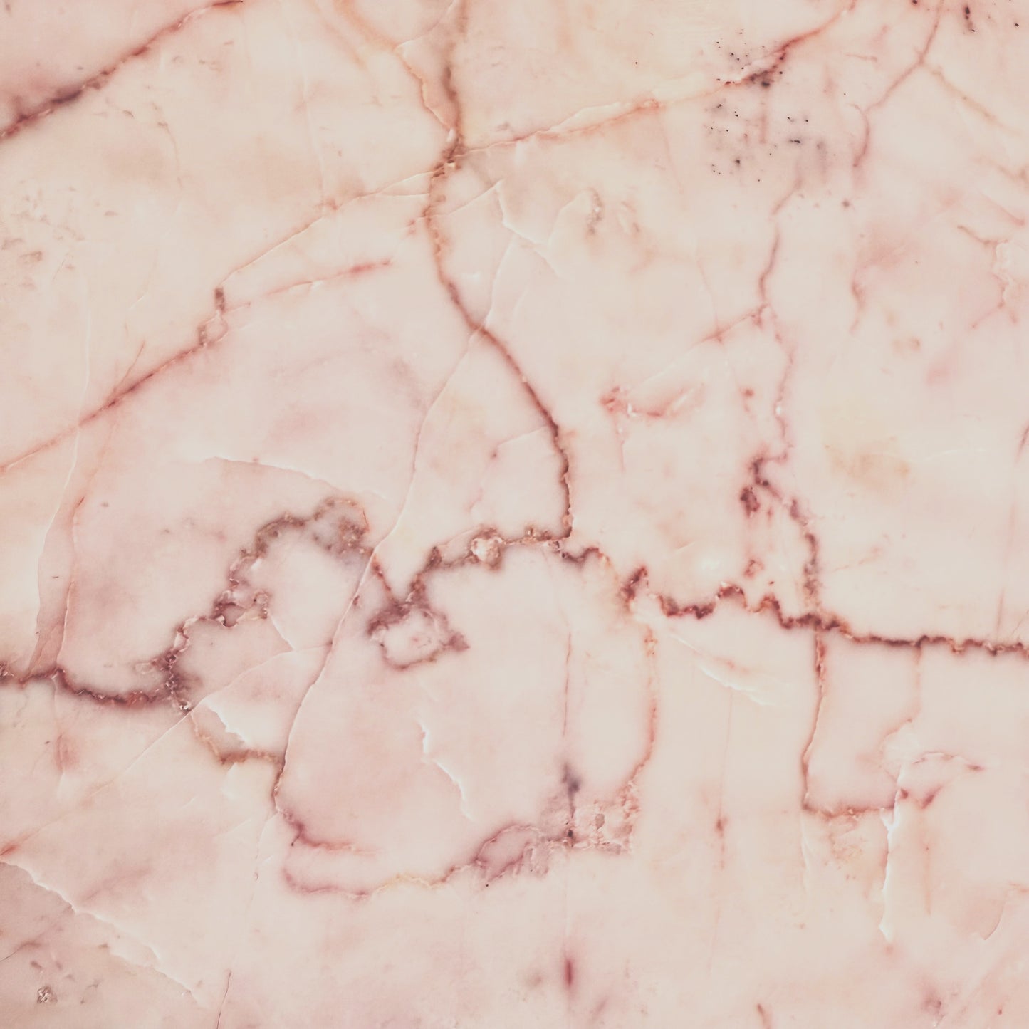 Dove Pink 12x12