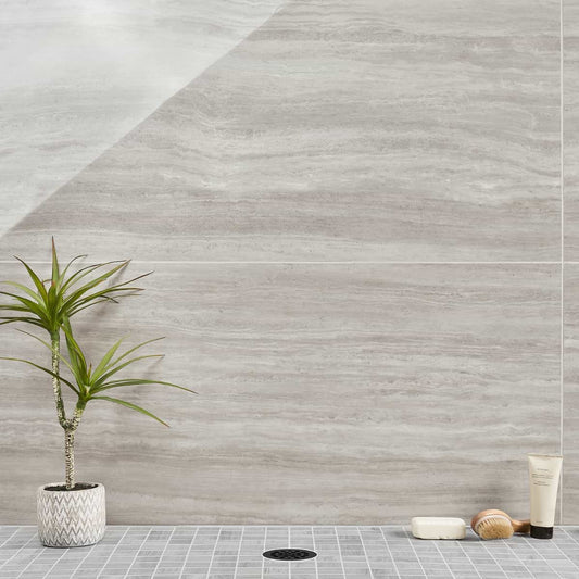 Chario 24X48 Polished (discontinued)