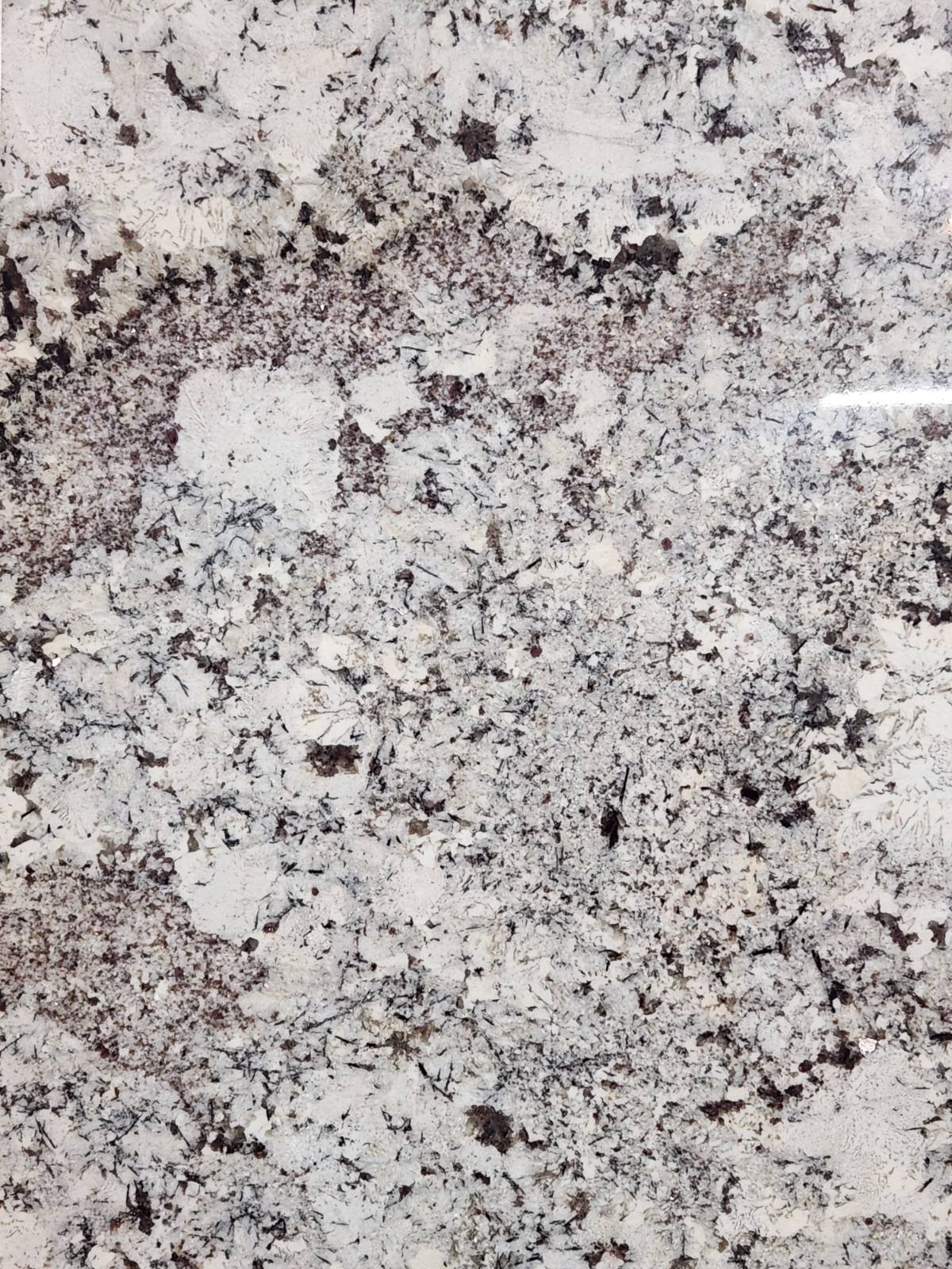 Sensa - Splendor White