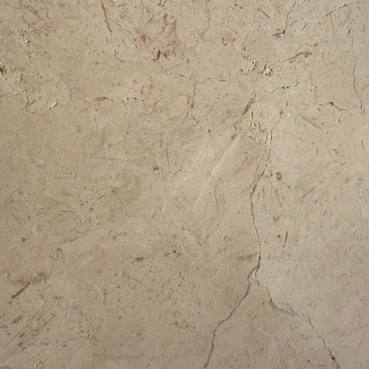 Jerusalem Bone 16x16