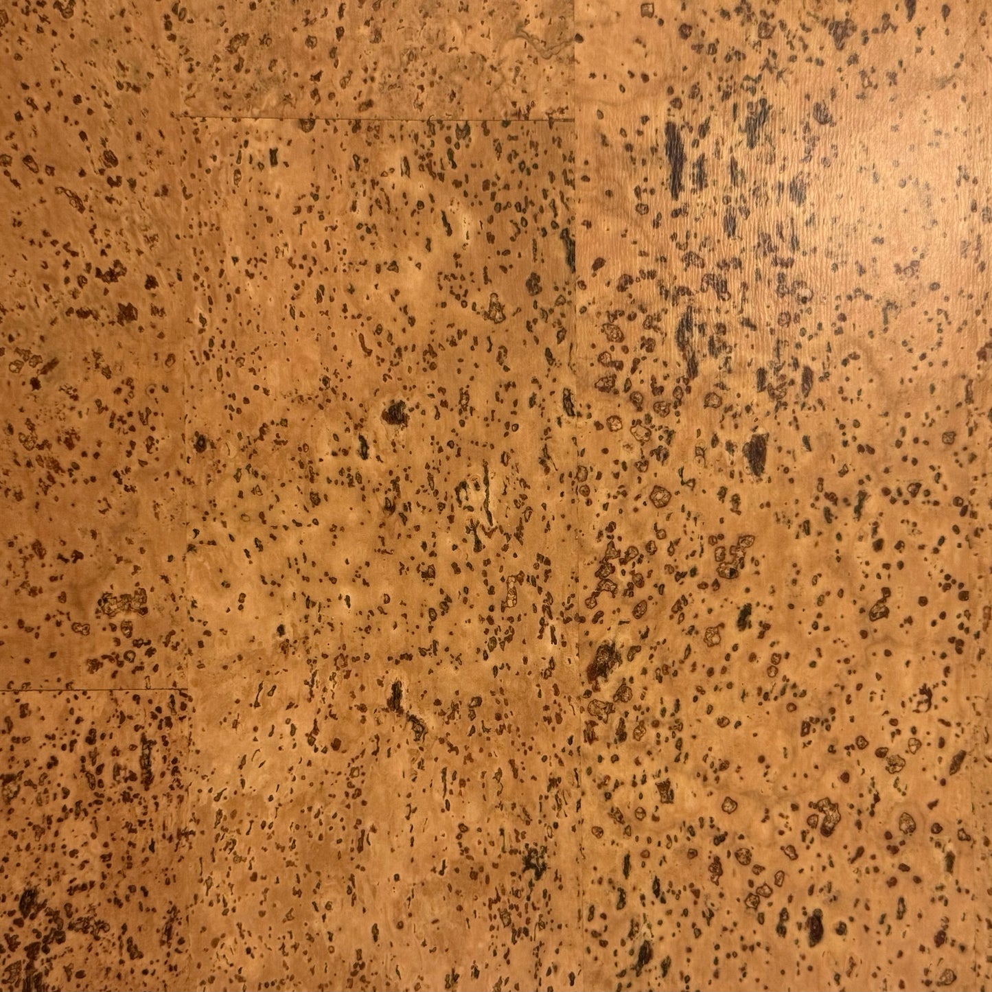 Aphrodite Cork 12x36