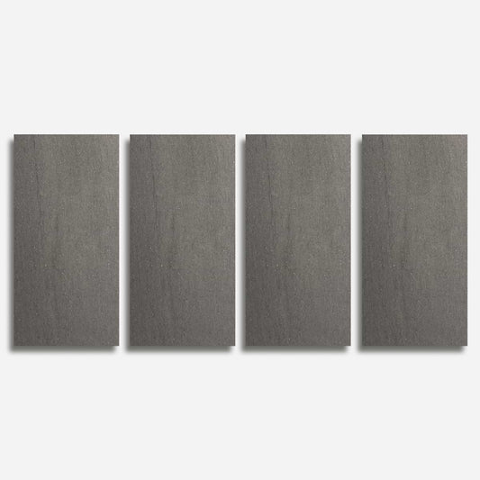 Tectonic Antracite Gray 24X48 Matte