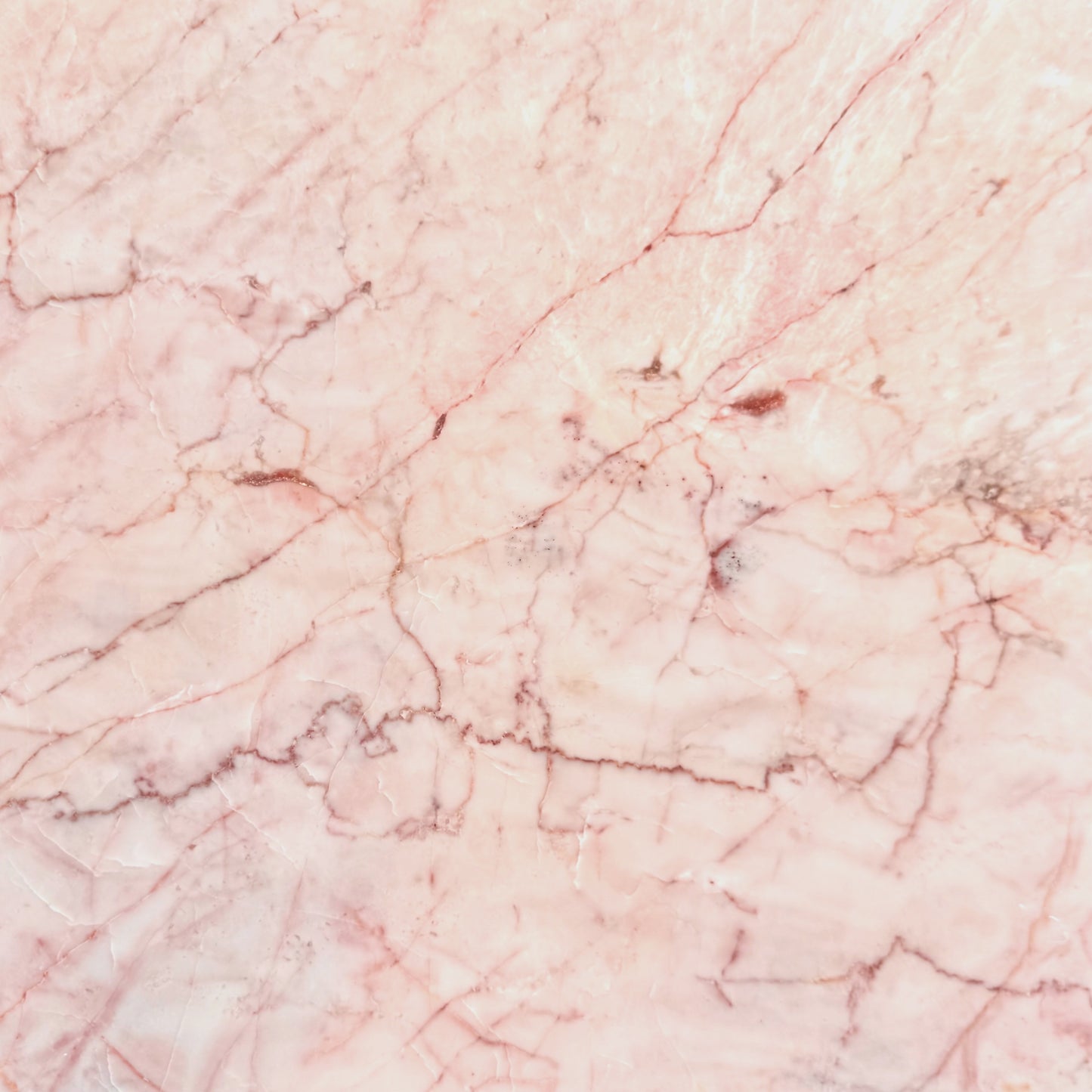 Dove Pink 12x12
