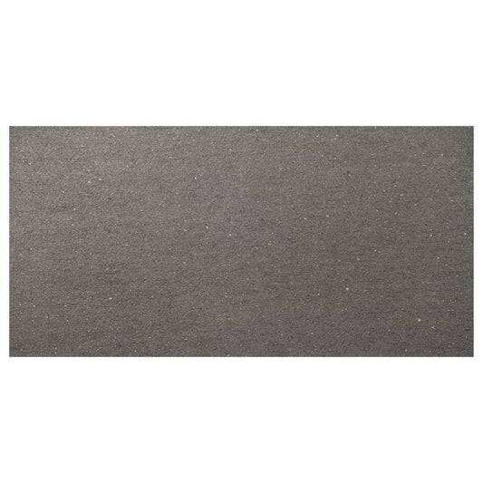 Antracite Gray 12X24 Matte
