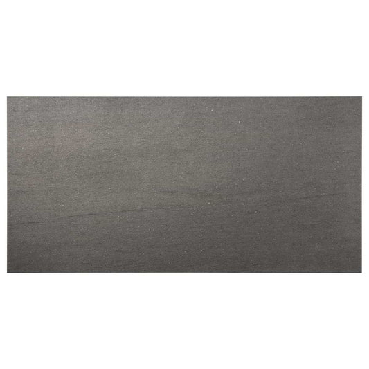 Tectonic Antracite Gray 24X48 Matte