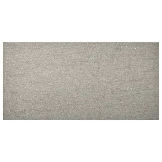 Tectonic Silver Gray 12X24 Matte