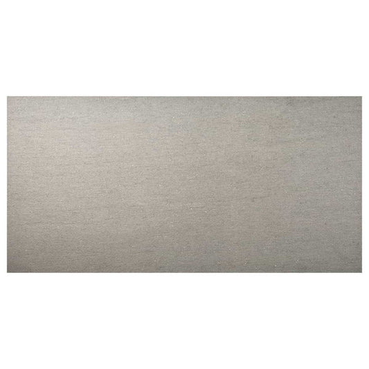 Tectonic Silver Gray 24X48 Matte