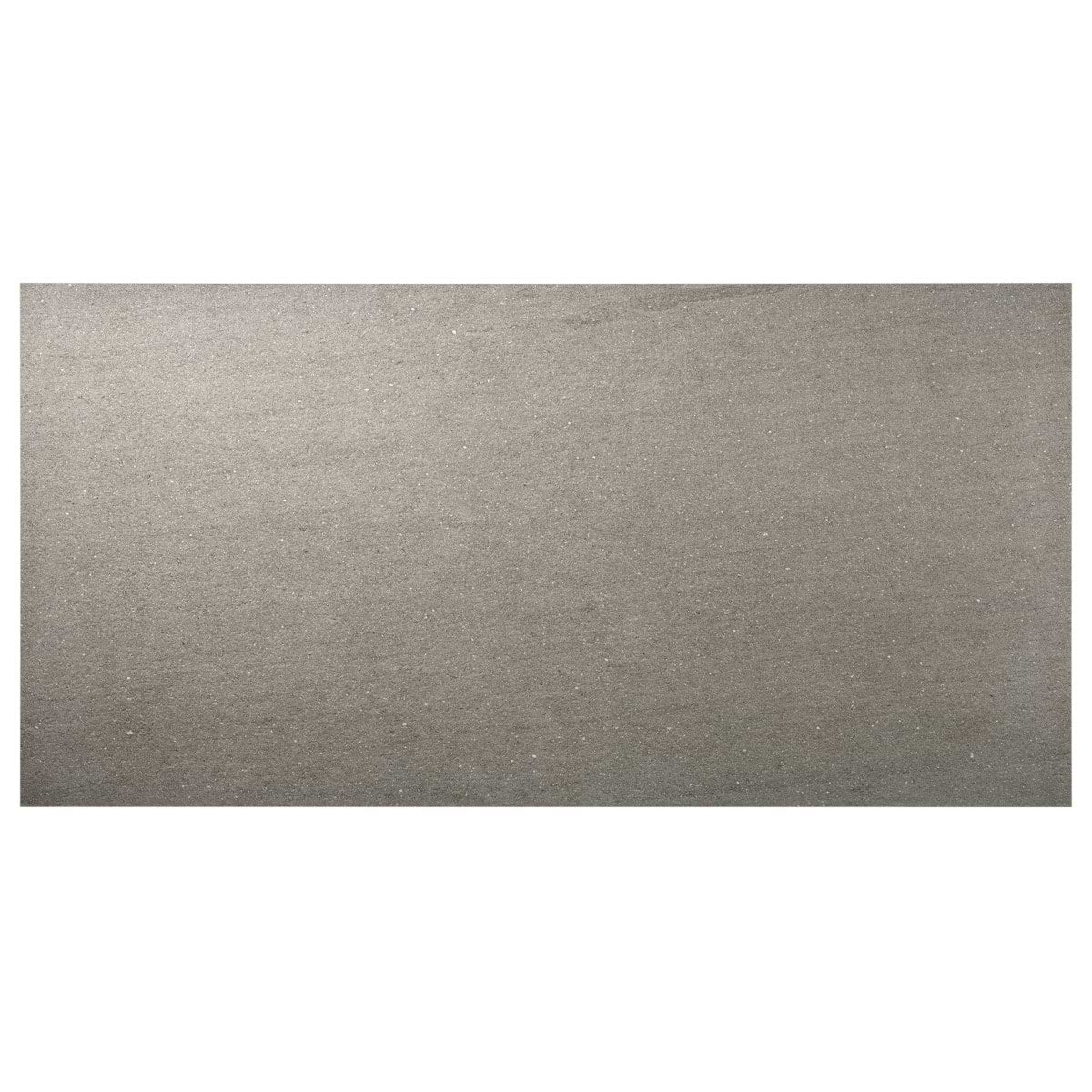 Tectonic Smoke Gray 24X48 Matte