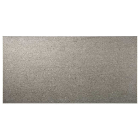 Tectonic Smoke Gray 24X48 Matte