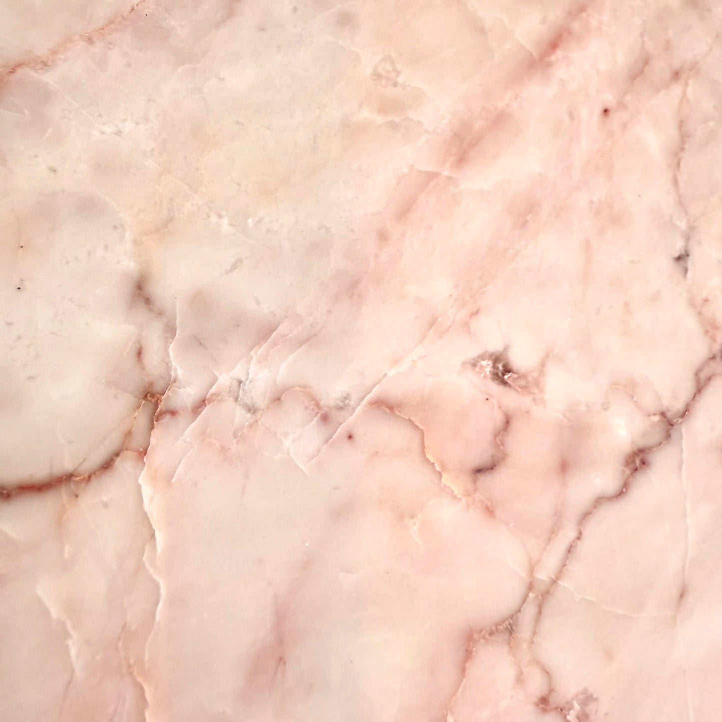 Dove Pink 12x12