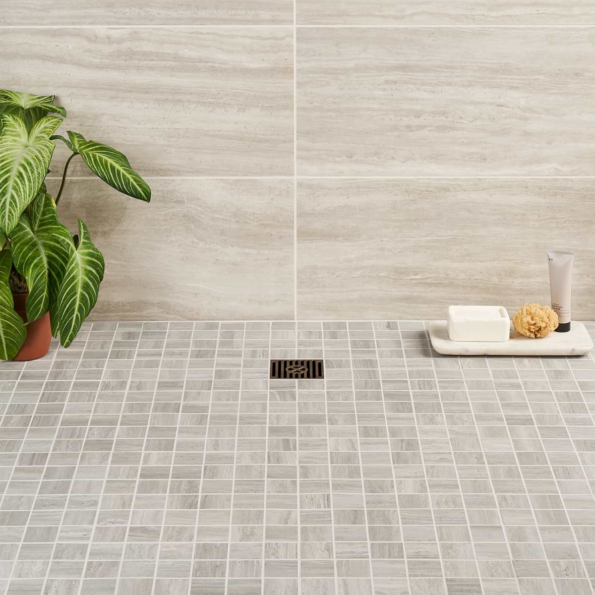 Chario 2X2 Matte