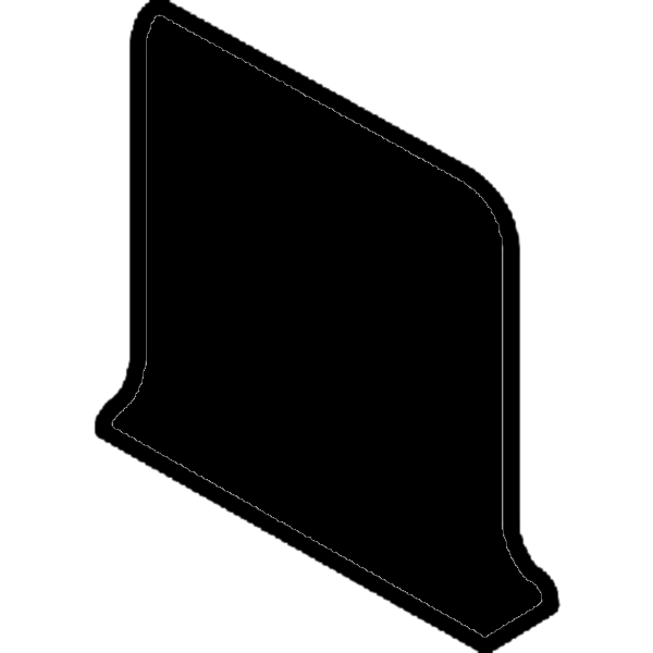 Black Trim Matte