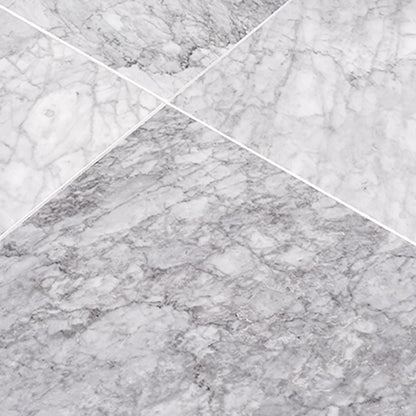 Venato 12x12 Honed