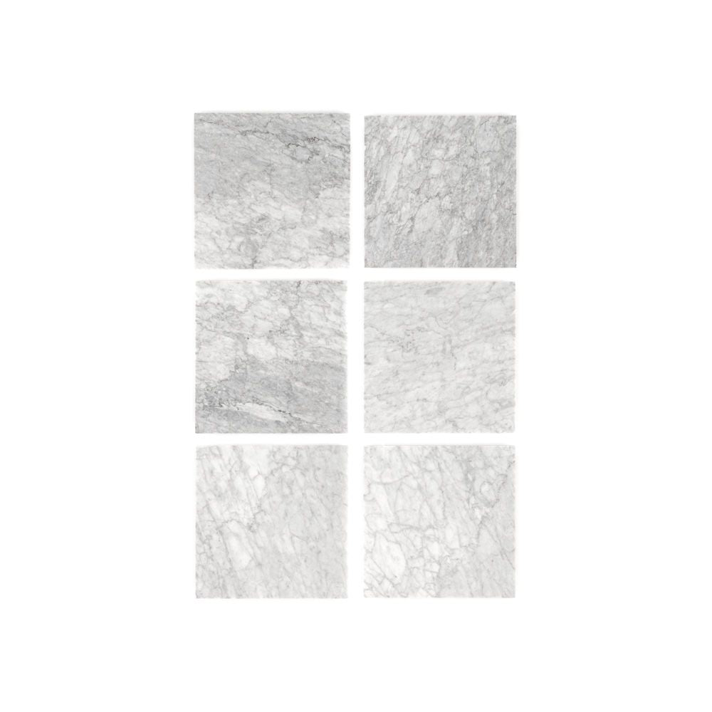 Venato 12x12 Honed