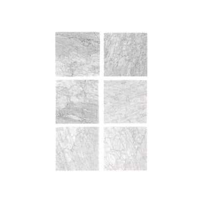 Venato 12x12 Honed