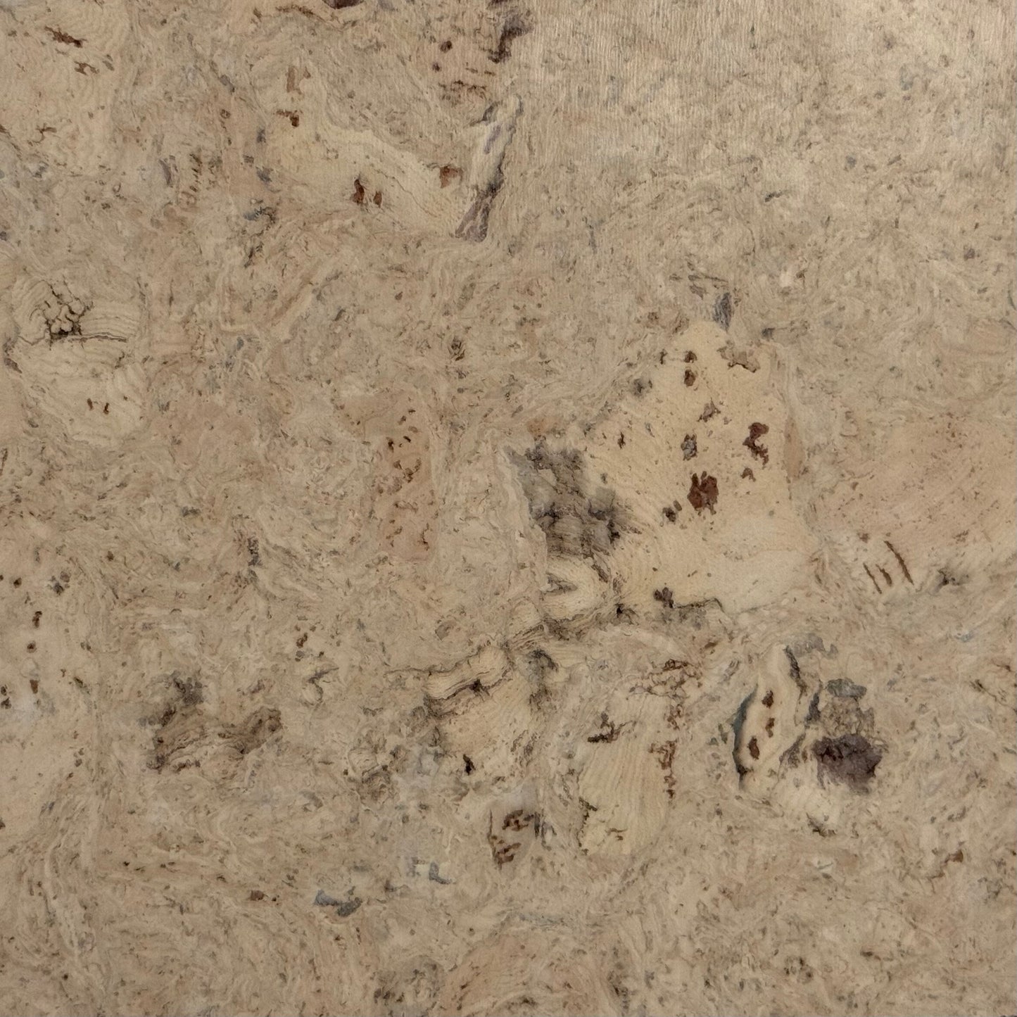 Odysseus Cork 12x36