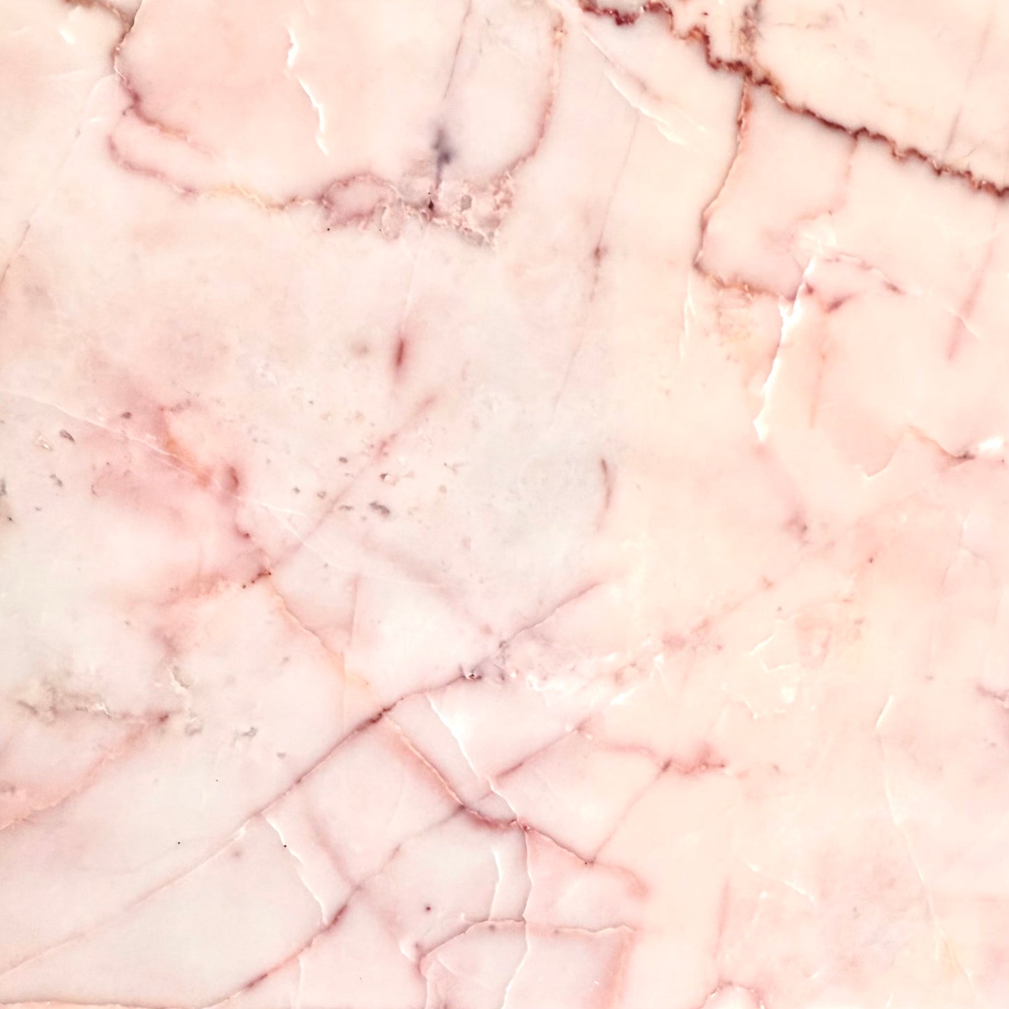 Dove Pink 12x12