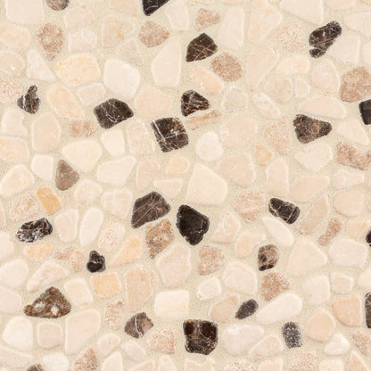 Brown Coco Canvas 11x11