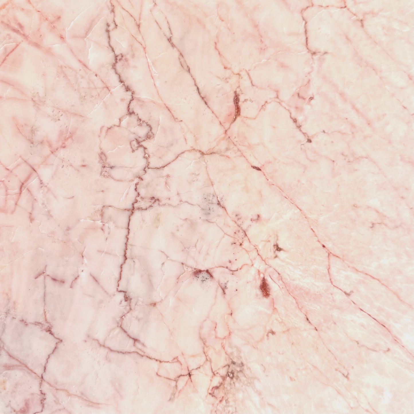 Dove Pink 12x12