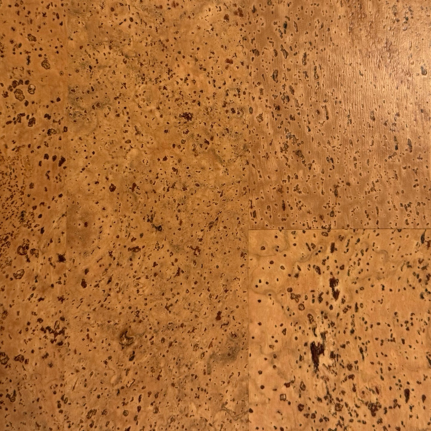 Aphrodite Cork 12x36