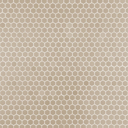 Taupe Strut 11x12