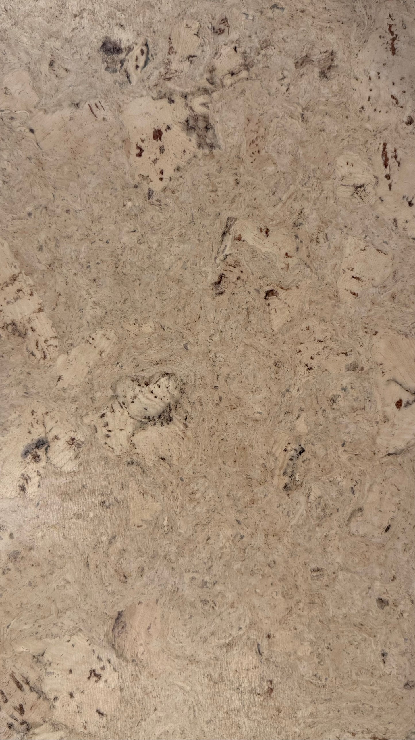 Odysseus Cork 12x36