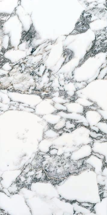 Arabescato 24x48 Matte