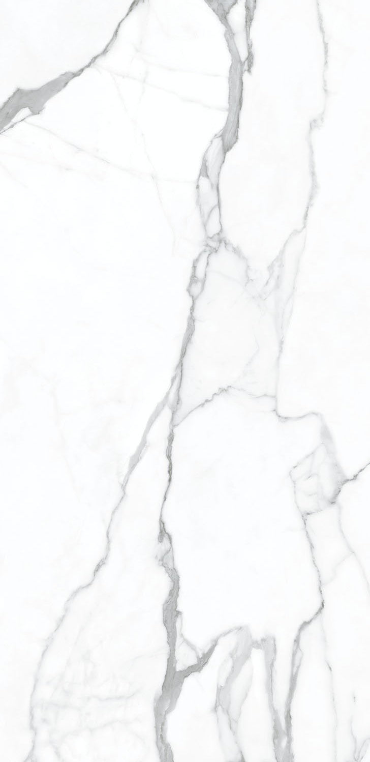 White marble texture with elegant gray veining across the surface.