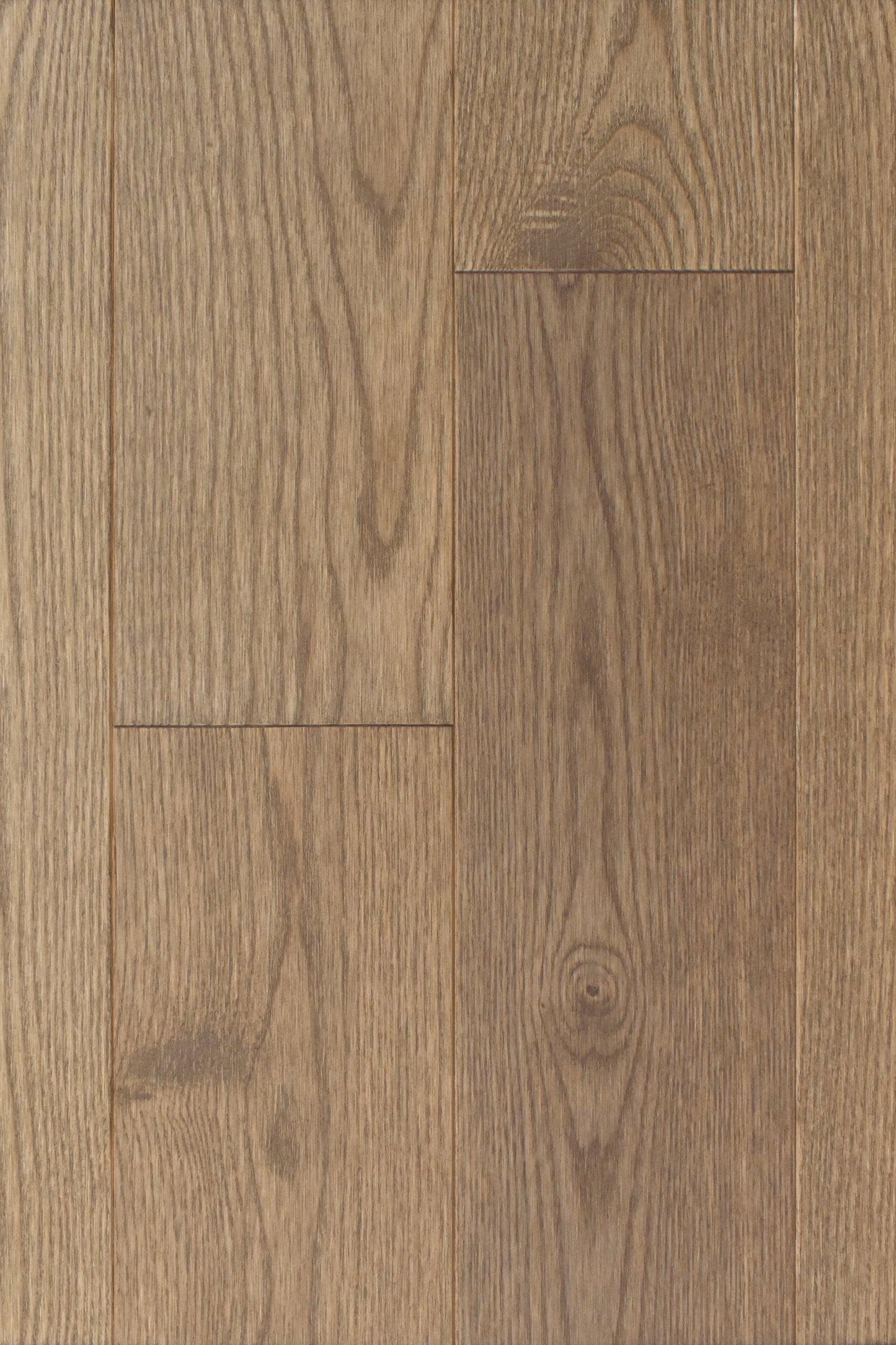 Ash Foresta 5¼" Matte