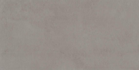 Solid light gray color swatch
