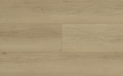 Ashmont 9x60