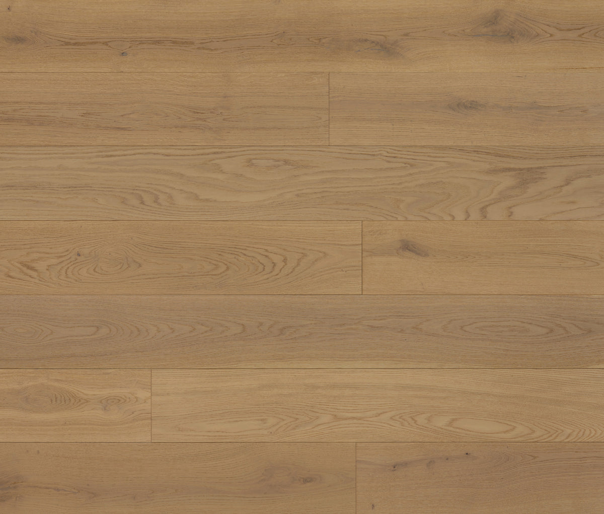 Astor 8x87 Select