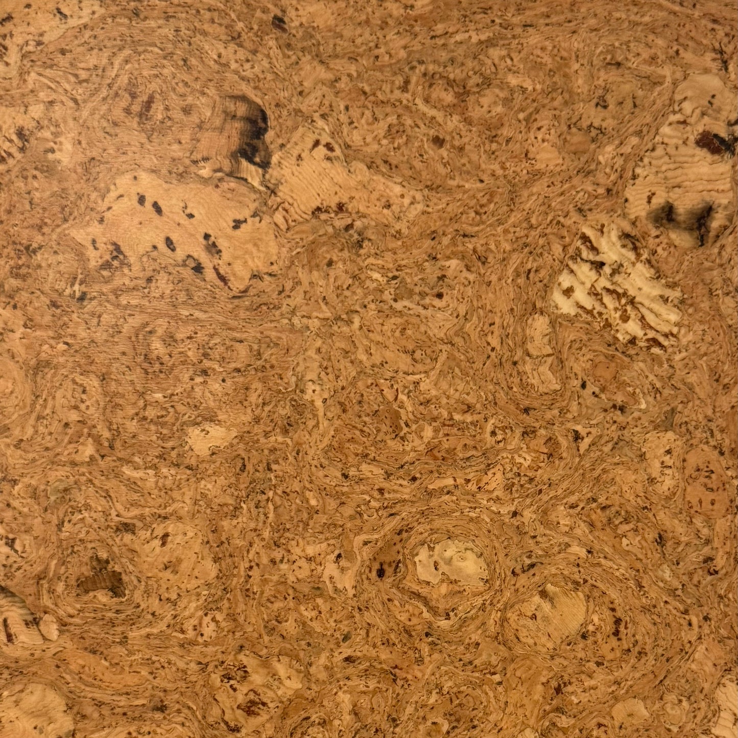 Odysseus Cork 12x36