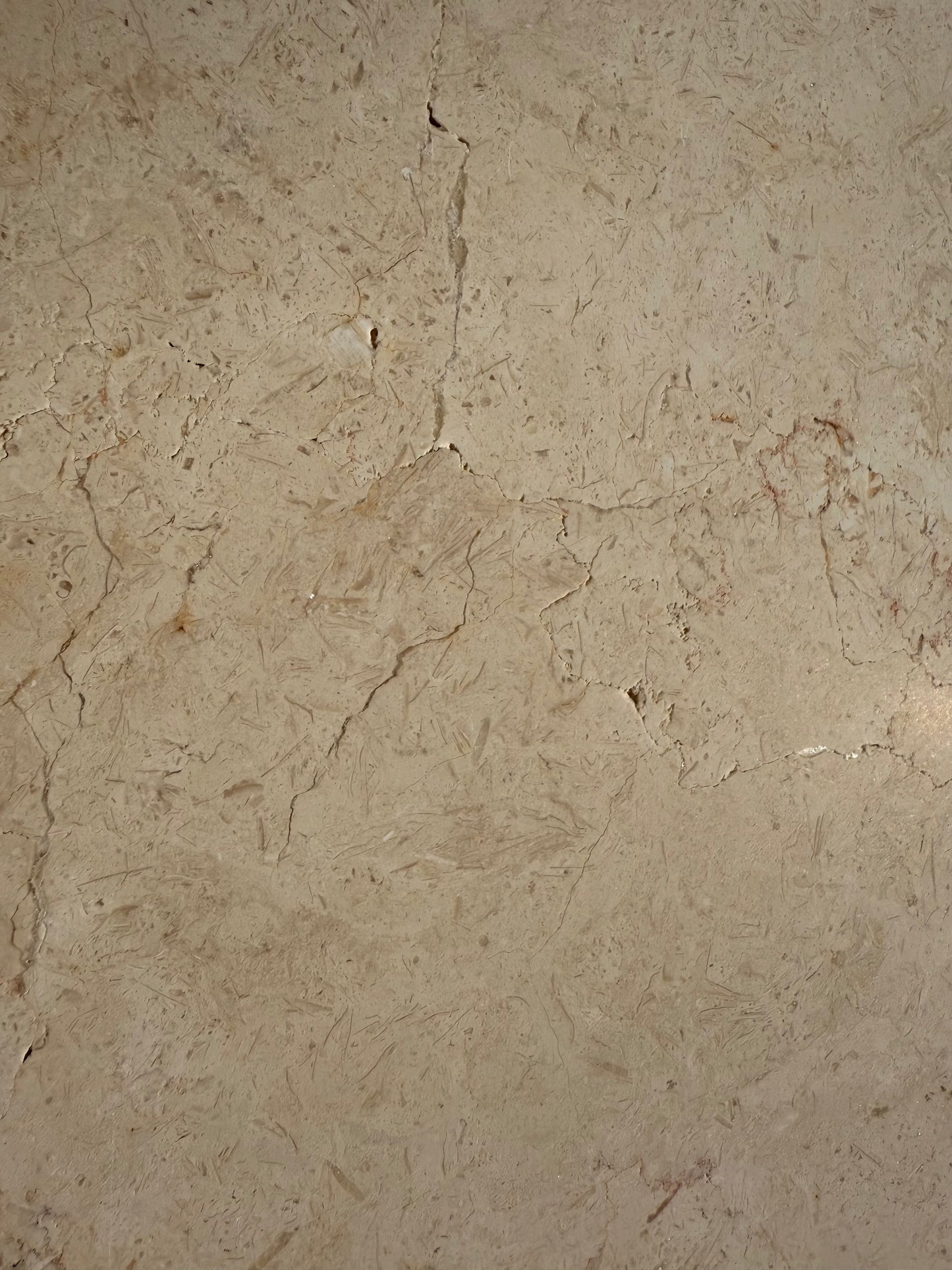 Jerusalem Bone 16x16