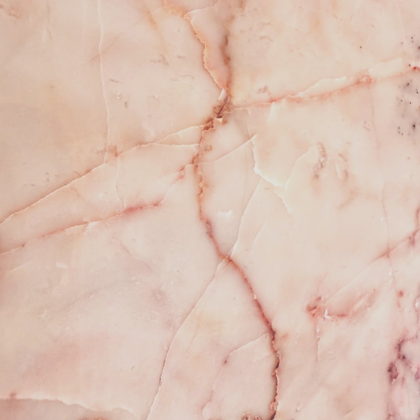 Dove Pink 12x12